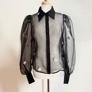H&M Black Sheer Blouse with Polka Dots